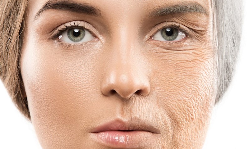 کاربرد پروتئین هیدرولیز شده شیر در محصولات آرایشی و بهداشتی