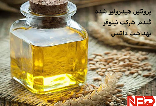 پروتئین هیدرولیز شده گندم شرکت نیلوفر بهداشت داتیس